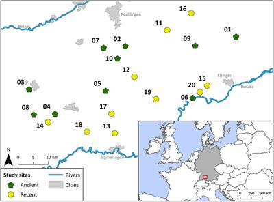 Genetic Variation of Typical Plant Species in Hay Meadows: The Effect of Land Use History, Landscape Structure, and Habitat Quality